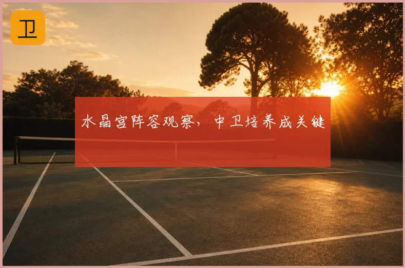 水晶宫阵容观察，中卫培养成关键